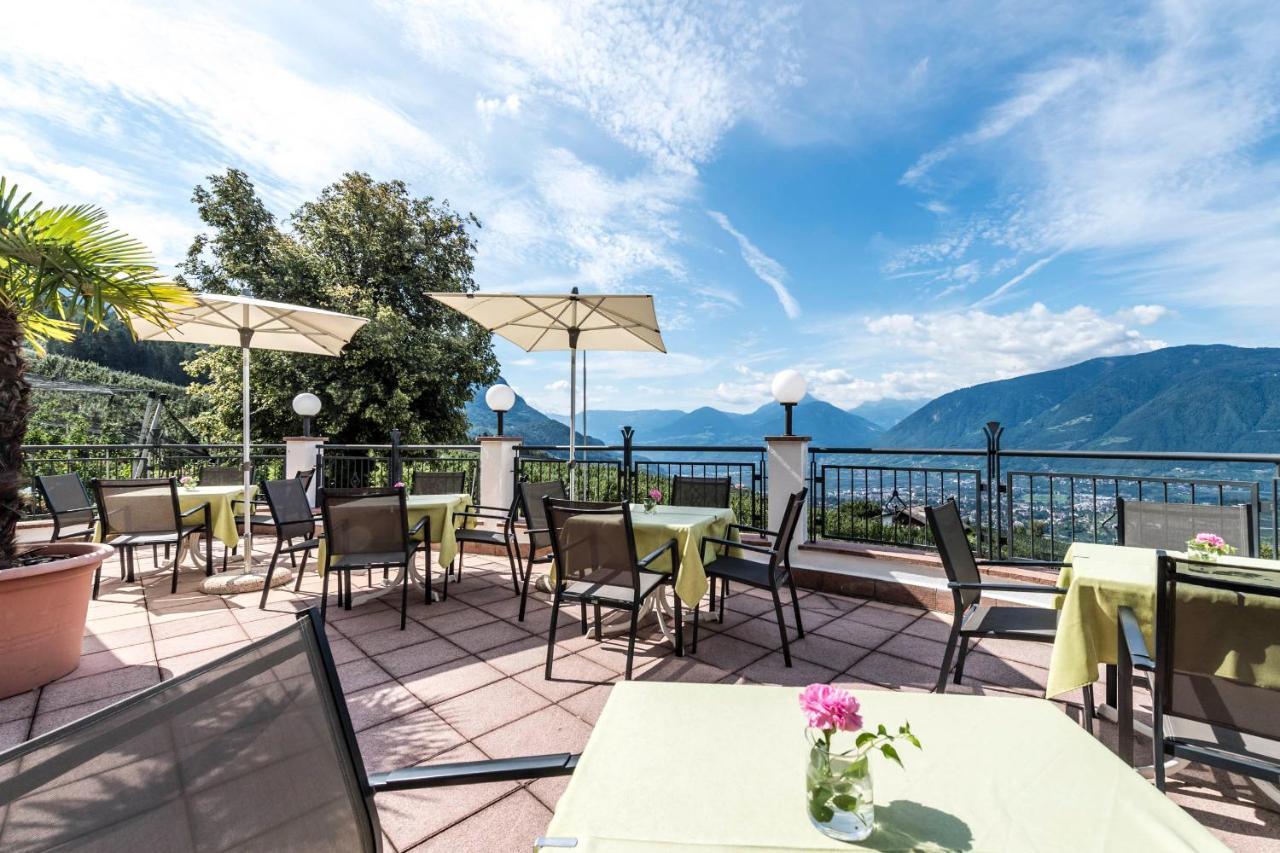 Meinhardt Scena